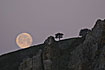 Thr Moon over Puente del Cardenal
