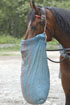 Horse with nosebag