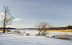 Winter at Lake Brabrand 