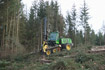 Cutting of Norway Spruce