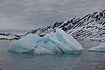 Icebergs in Liefdefjorden
