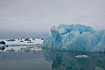 icebergs in Liefdefjorden

