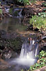 Little waterfall at forest stream