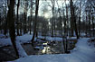 Winter at Giber Stream
