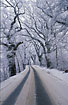 Snowfilled road
