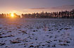 Sunrise at Winter field