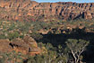 Landscape of eucalypts and sandstone formations