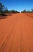 A red, sandy road in Westaustralia