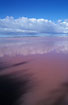 Hutt Lagoon - a pink lake coloured by the pigment (beta-caroten) of the alga Dunaliella salina