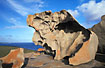 "The Remarkable Rocks"