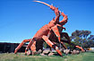 "Larry the Big Lobster" - on of Australias giant animals