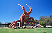 "Larry the Big Lobster" - on of Australias giant anmimals