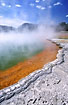 "Champagne pool": Boiling green water and red minerals