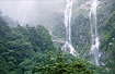 Heavy rain in the rainforest creates temporary streams down the mountain side