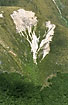 Earthslide/erosion in the mountains above the tree limit