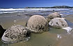 Giant round rocks lying at seashore