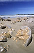 Peculiar stones on the beach
