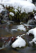 Forest stream with icicles and snow covered rocks