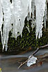 Icicles at stream