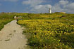 The beautiful area around Paphos lighthouse