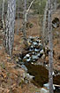 Stream running through the forest at "The Caledonia Trail"