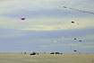 Kite festival on the beach