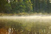 Morning mist at the forest lake