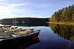 Rowing boats at a swedish forest lake