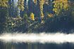 Morning mist at swedish forest lake with birch in autumn colours