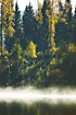 Morning mist at swedish forest lake with birch in autumn colours