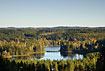Swedish autumn: scots pine and birch around the forest lake