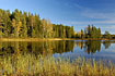 Autumn at swedish forest lake