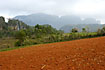 The rich red soil in the viales valley 