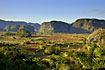 The Viales valley and mogote mountains in late evening light