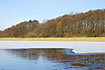 Melting ice on the lake