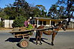 Horse wagons is still in use in the villages
