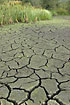 Dried up lake bed