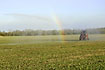 Irrigation on a field with a rainbow