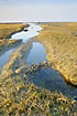 Tidal water at the wadden sea
