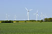 Wind mills in a farming landscape