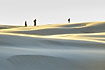 A family walking over the large sanddunes in evening light
