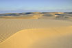 The huge sanddunes reminding of a desert landscape
