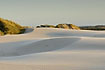 The migrating dune in evening light