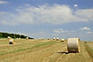 Hay stacks on the newly harvested field