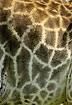 The brown and yellow pattern in the giraffe fur