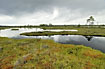 Threatening clouds over estonian bog
