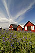 Red beach huts and blue sky