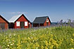 Red beach huts and a blue sky with yellow flowers - red blue green (RGB)