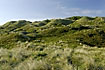 Hilly dune landscape