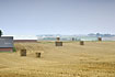 Hay stacks in a newly harvested field - a picture of a danish agricultural landscape